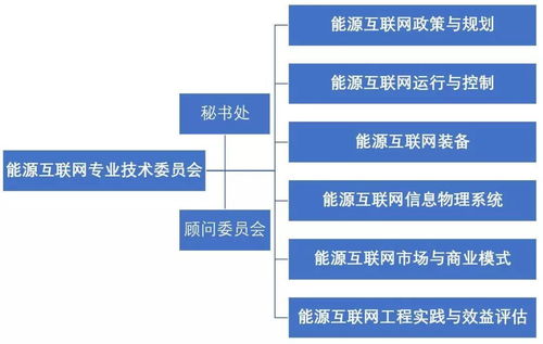 IEEE PES能源互聯(lián)網(wǎng)專委會(huì)成立大會(huì)暨2018 IEEE EI2學(xué)術(shù)會(huì)議在京隆重召開，北京網(wǎng)絡(luò)技術(shù)服務(wù)行業(yè)迎來新機(jī)遇